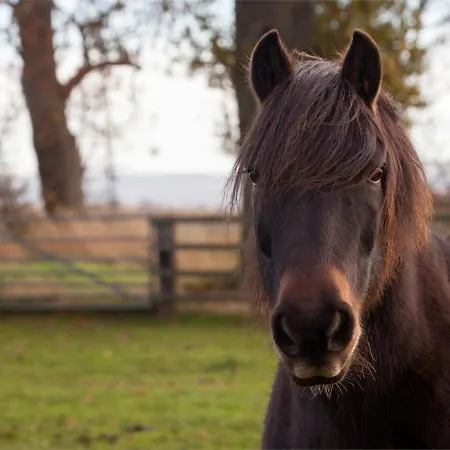 בית נופש Deerholme