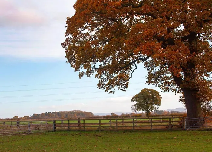 Deerholme