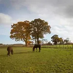 Deerholme Casa vacanze Malton