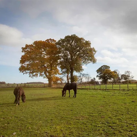 Deerholme Casa de Férias Malton