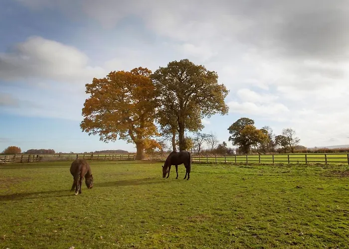 Deerholme Casa de Férias Malton
