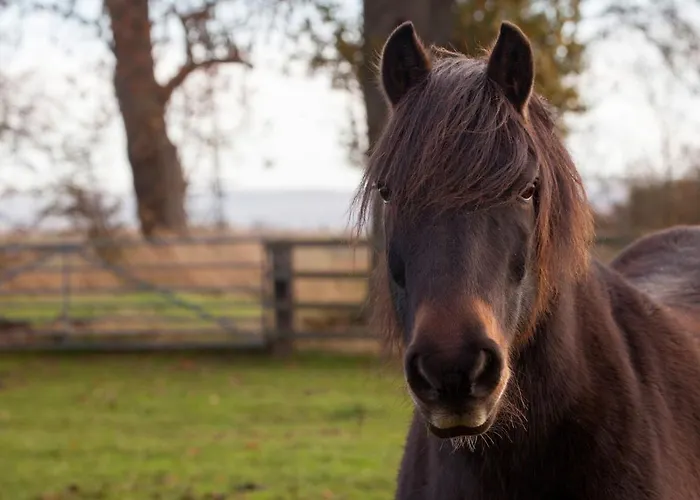 Casa de Férias Deerholme
